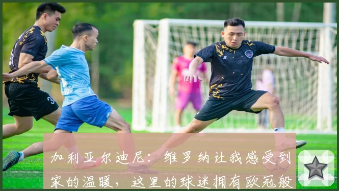 加利亚尔迪尼：维罗纳让我感受到家的温暖，这里的球迷拥有欧冠般的热情