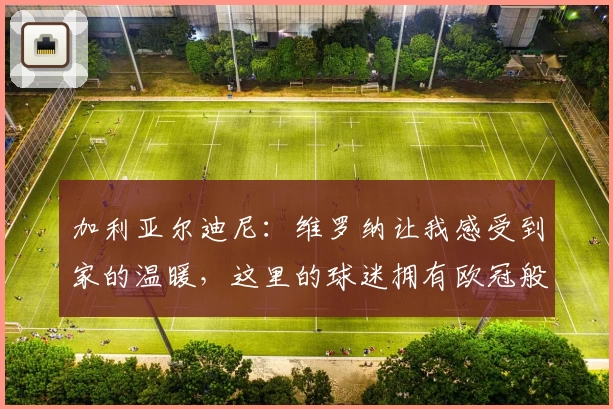 加利亚尔迪尼：维罗纳让我感受到家的温暖，这里的球迷拥有欧冠般的热情